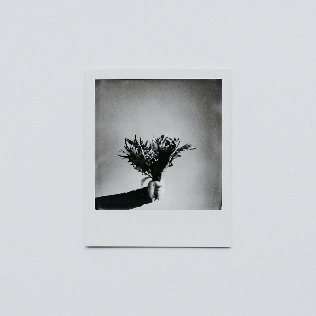 Playlist cover with polaroid of wilted flowers
